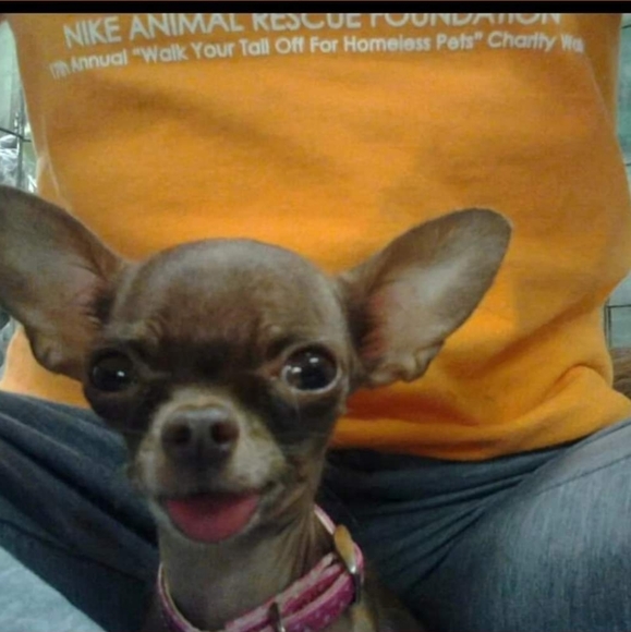 I LOVE OFFERS..and DOGS!!💜 - Picture 6 of 10